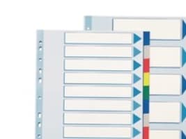 Esselte Plastic tabs, A4, 245 mm, 297 mm, 1 stykker
