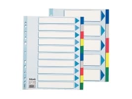 Esselte Plastic tabs, A4, 245 mm, 297 mm, 1 stykker