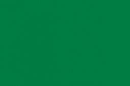 Matt Mid Green (Flat) 22ml