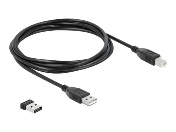 Delock - Streckkodsskanner - bärbar - 30 skanning/sek - avkodad - USB 2.0, Bluetooth 4.0, RF(2.4 GHz)