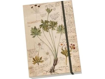 Skona Ting Decorative notebook A5 STNOTE 93 Anno 1550