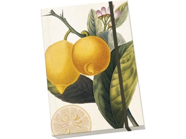 Skona Ting Decorative notebook A5 STNOTE 83 Lemon |