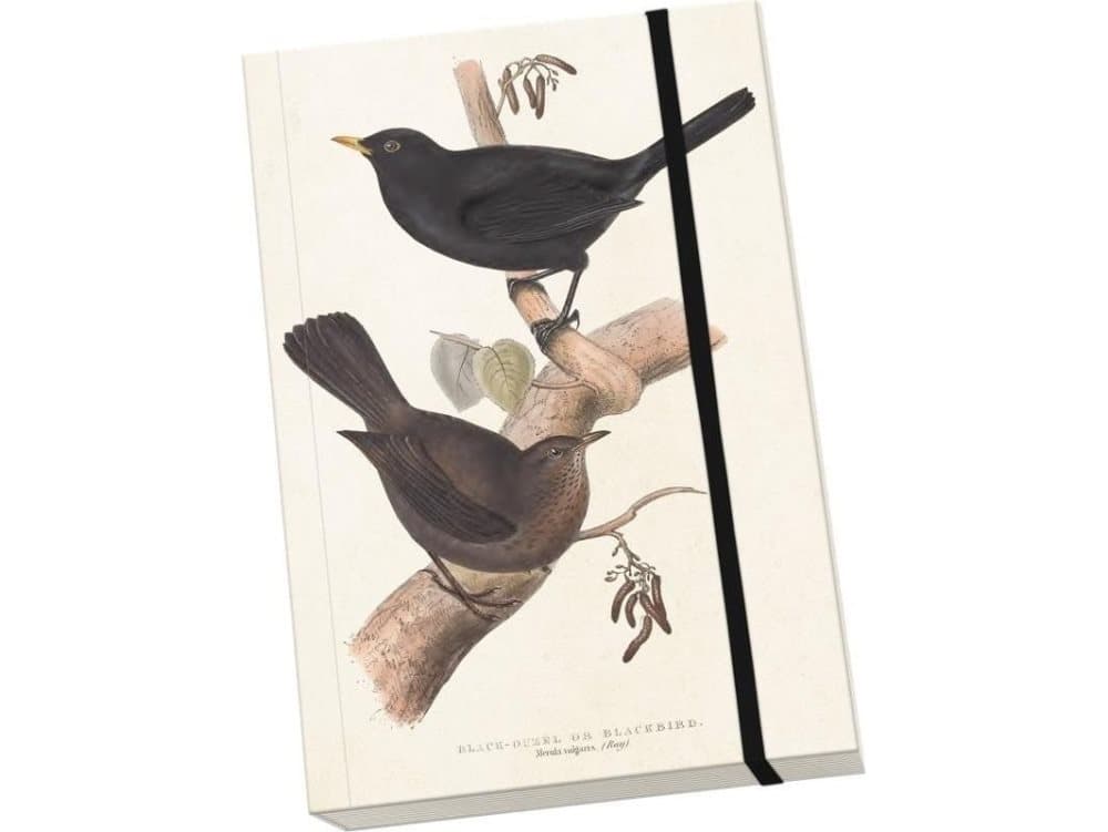 Skona Ting Decorative notebook A5 STNOTE 90 Ptaki
