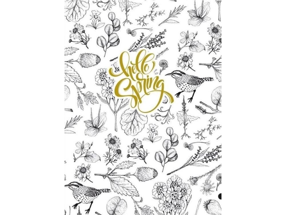 Fresh Decorative notebook 145x197/64K grille TW Birds