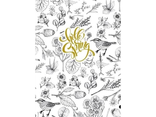 Fresh Decorative notebook 145x197/64K grille TW Birds