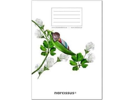 Narcissus Notebook A5/60K, checkered PP Fun Pea Pod (4 pcs)