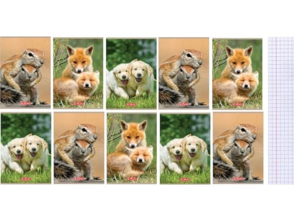 Herlitz Notebook A5/32K checkered Animals (10 pcs) |