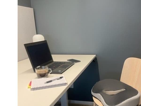 Relief sittdyna