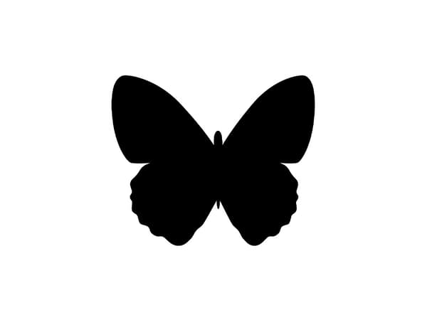 Securit FB-BUTTERFLY, 300 x 500 mm, Melamiini, Hartsi, Velcro, Musta