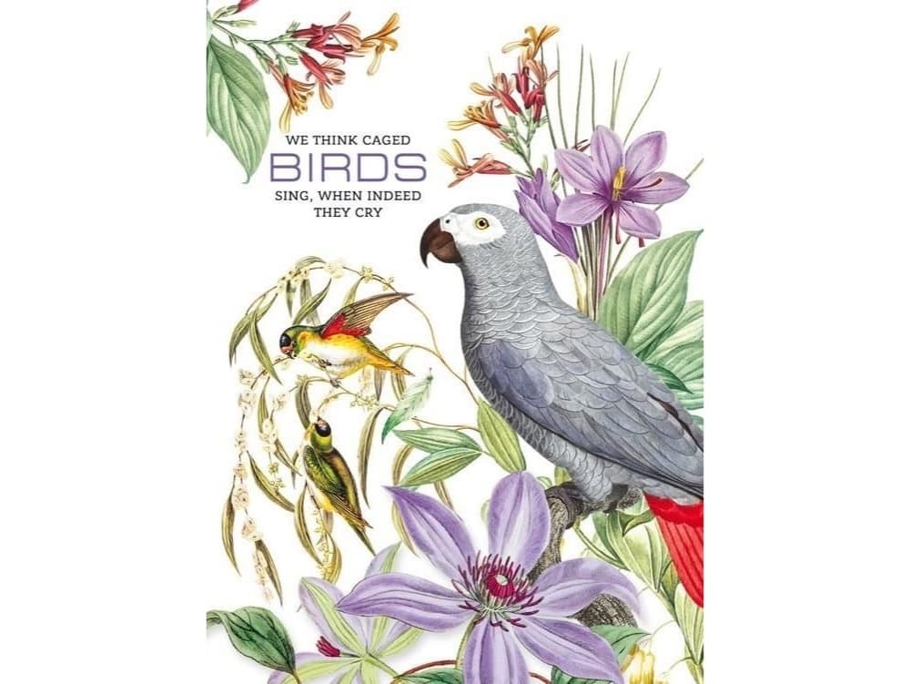 Fresh Decorative notebook 165x238/80K grate Parugi