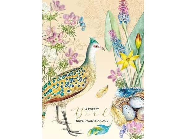 Fresh Decorative notebook 165x238/80K grille Paw FRESH