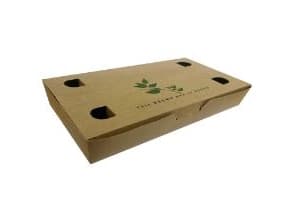 FoodBox nr 3 200x100x30 mm med låg FSC med tryk Brun,2 ps x 150 stk/ps