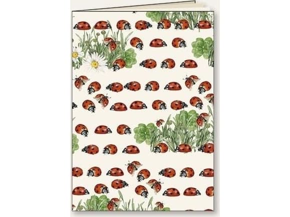 Tassotti Decorative notebook A5/48K Biedronki line