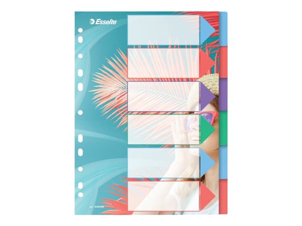 Esselte Colour'Breeze - Avdelare - 6 delar - för A4 (210 x 297 mm) - flera färger