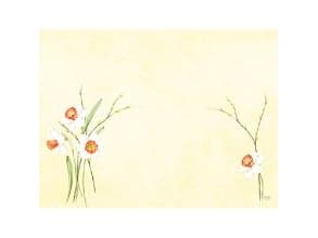 Dækkeserviet Dunicel 30x40 cm Daffodil Joy,5 pk x 100 stk/krt