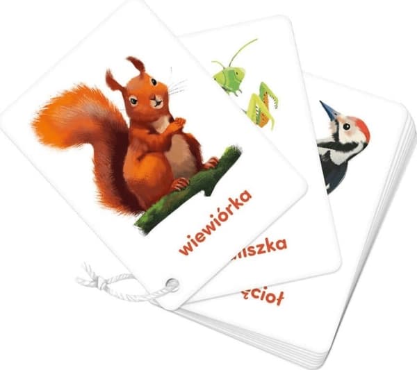 ISBN 978-83-667-6214-5, Polska, 32 sidor