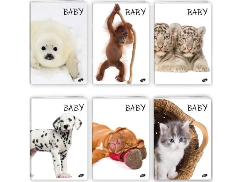 Elisa Notebook A5/32K line BABY MIX (20 pcs)