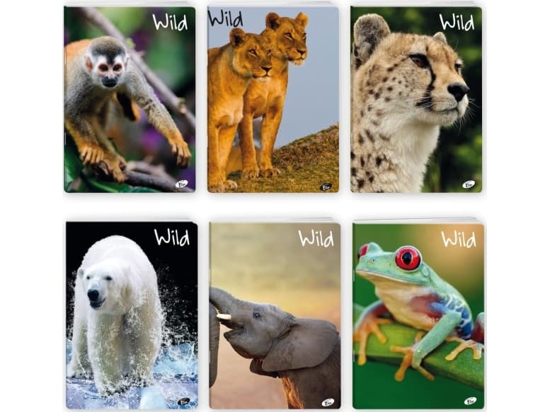 Elisa Notebook A5/32K WILD MIX line (20 pcs)