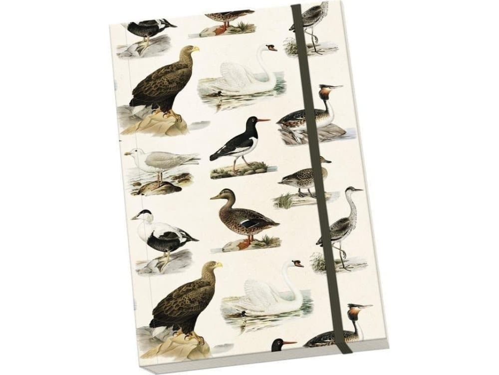 Skona Ting Decorative notebook A5 STNOTE 94 Ptaki
