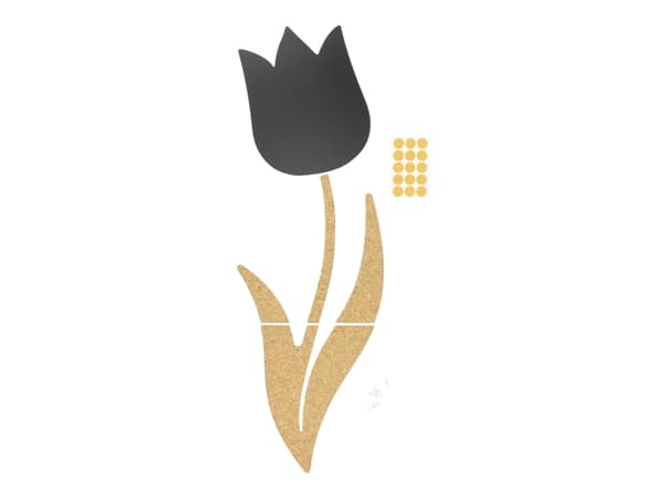 Securit® Tulipan kridt og kork vægplader