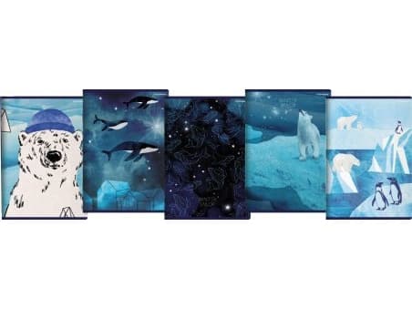 TOP-2000 Notebook A4/60K, checkered Winter Sailor (5 pcs)