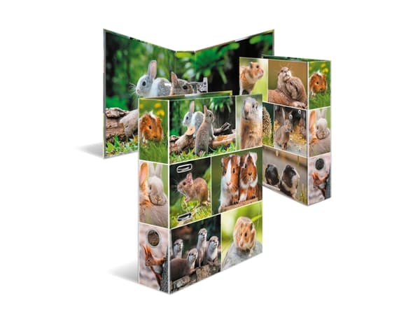 HERMA 19252, A4, D-ring, Oppbevaring, Fotoark kartong, Flerfarget, 7 cm