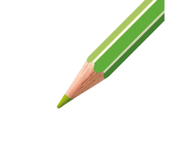 STABILO GREENcolors ARTY, Multifärg, 12 styck