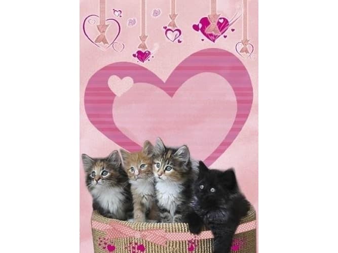 Color creation Lined notebook. Kitties