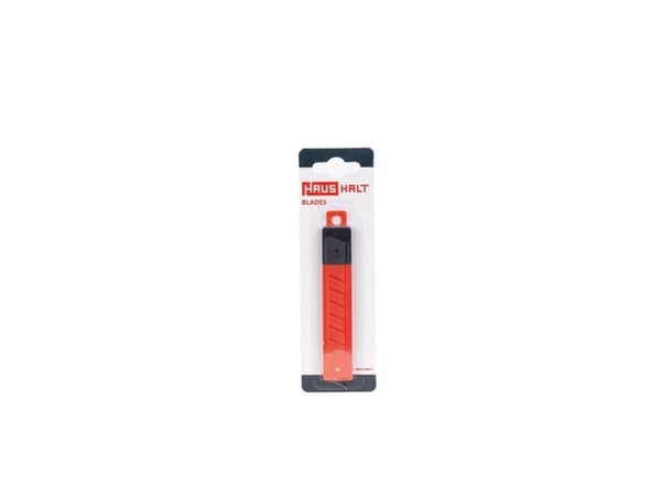 Haushalt Blades Univ For Scrapper 5Pcs X100 Mm
