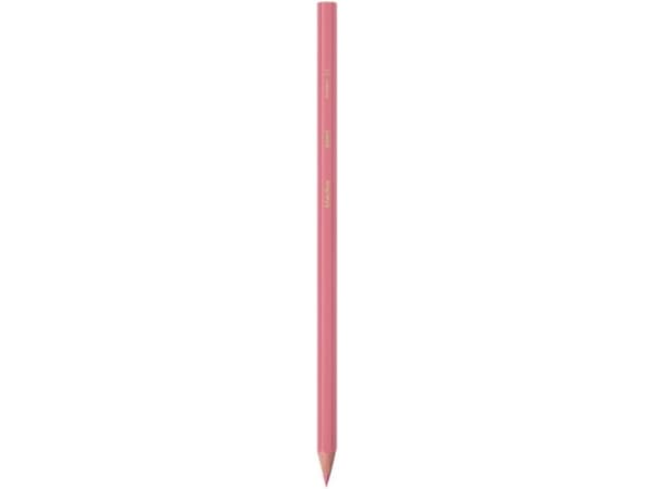 BIC 82902914, Flerfarget, 12 stykker