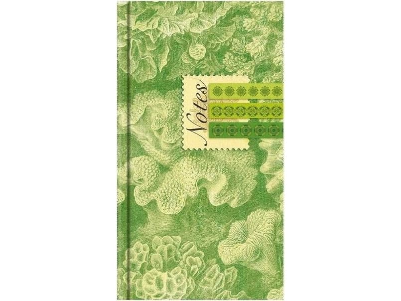 FANDY Notebook A6 Soft