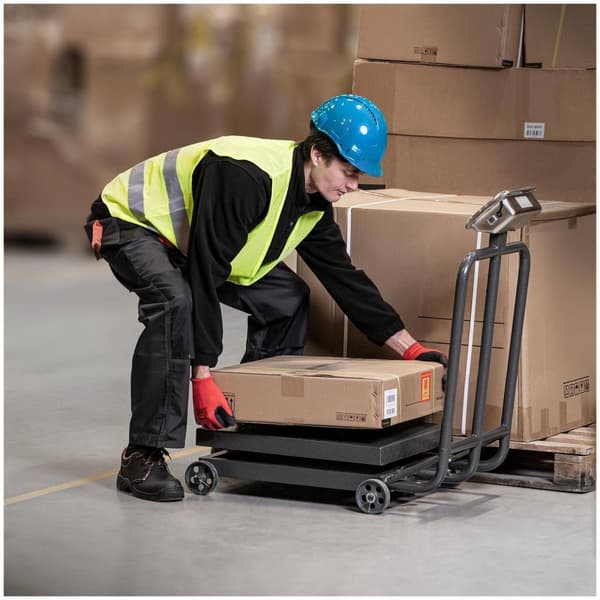 Steinberg Systems Plattformsvåg med hjul - 600 kg / 100 g - LED