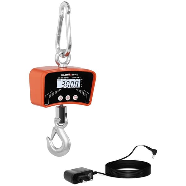 Steinberg Systems Kranvåg - 300 kg / 100 g