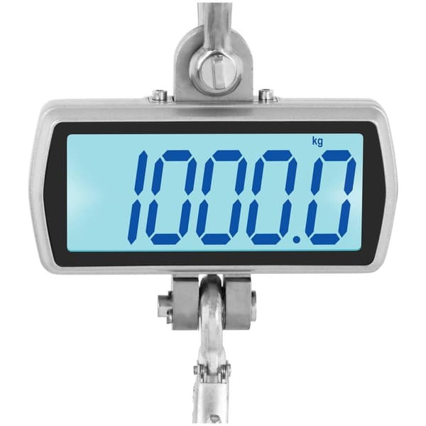 Steinberg Systems Kranvåg - 1000 kg / 500 g