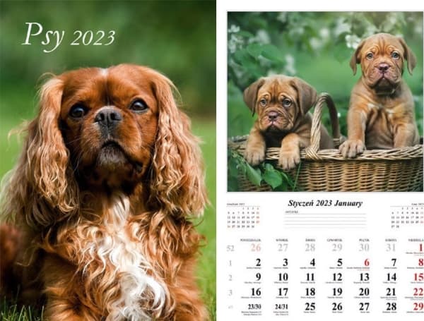 Kalender 2023. Vägg med flera paneler Psy