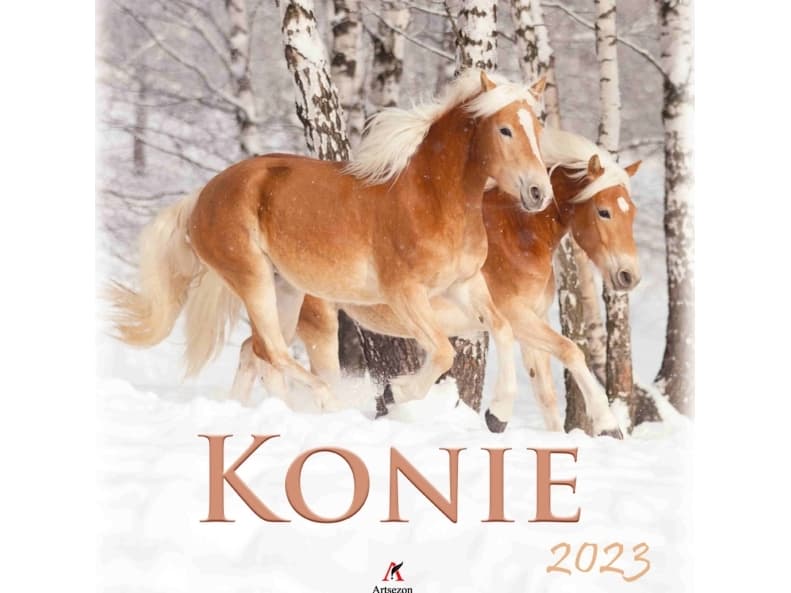 Calendar 2023 Multi-panel Horses ARTSEZON