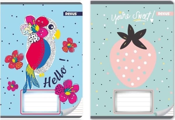 Notebook A5/16K line Girl (20 pcs)