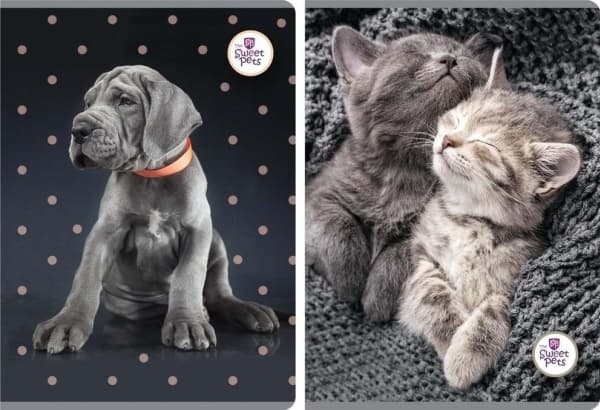 Benjamin Notebook A5/60K line The Sweet Pets (5 kpl)