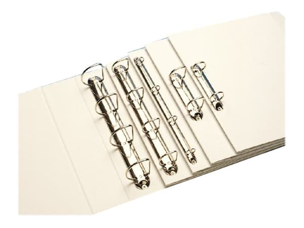 Leitz Standard - Presentationsringpärm - för A4 Maxi - kapacitet: 200 ark - vit