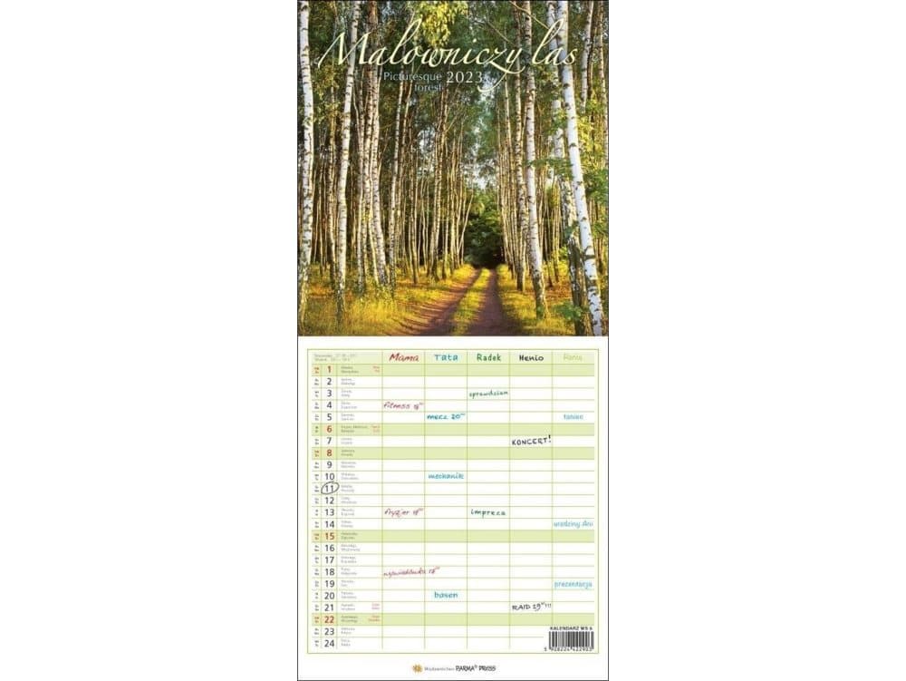 Calendar 2023 Multi-panel - Picturesque forest