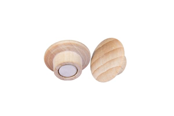 Legamaster puumagneetti, 25 mm, 5 kpl.