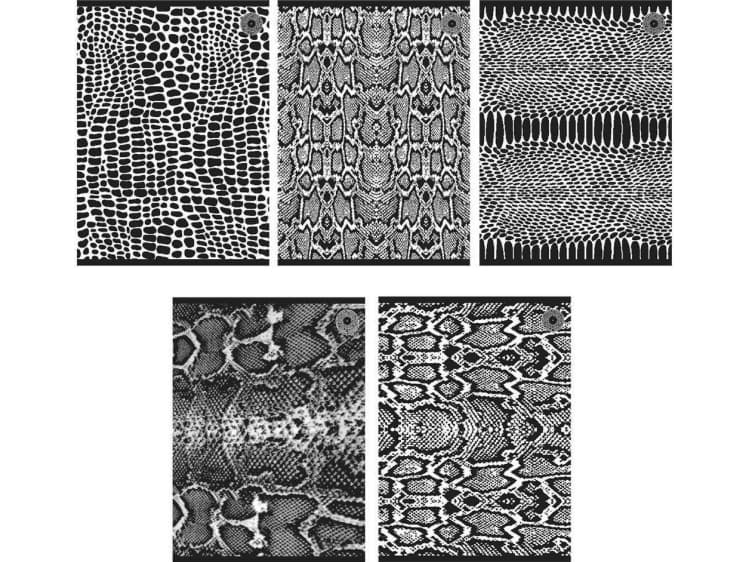Notebook A5/80K, Snakes grid (5 pcs)