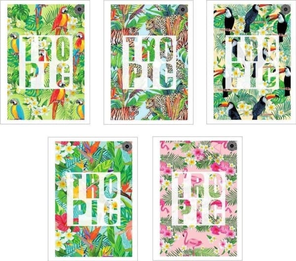 Notebook A5/60K, Tropic line (10 pcs)