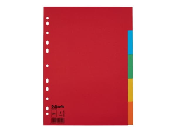 Esselte COLOR PADS A4 5 CARDS WITHOUT CARD DESCRIPTION. - 100199