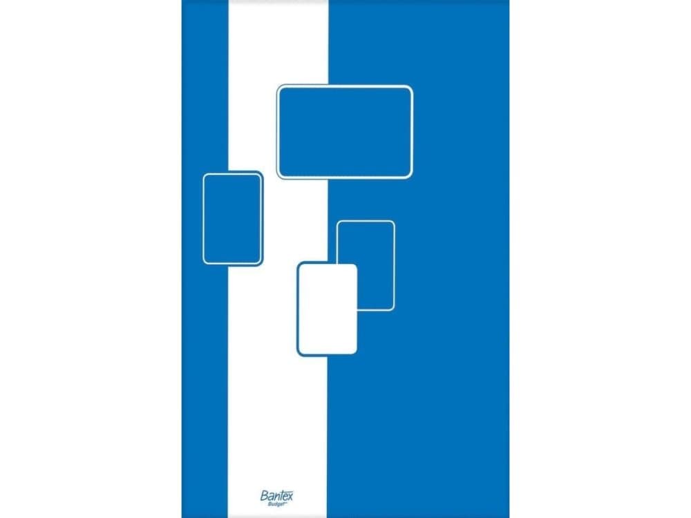 Bantex Budget Notebook BANTEX BUDGET A5 100 sheets 400116670 grid
