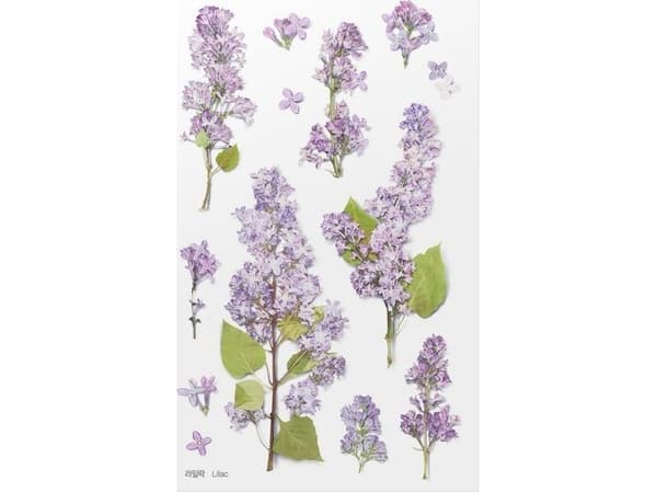Appree Koristetarrat Lilac kukat