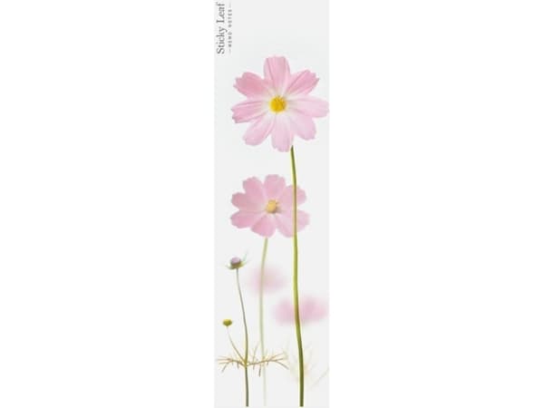 Appree Sticky Cards - Pink Cosmos