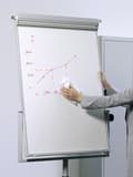 Miniatyrbillede 3 af 3: Whiteboard Wipe Box