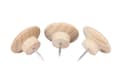 Pikkukuva 5 / 7: Legamaster WOODEN pushpin 25kpl. Tuotteen väri: Puu, Materiaali: Puu, Alkuperämaa: Kiina. Leveys: 20mm Syvyys: 20mm Korkeus: 27mm Määrä per pakkaus: 1