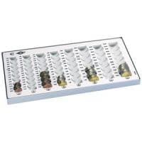 WEDO 160100837 Money Counting Board (tillverkad av polystyren, 8 myntspår, halkfria gummifötter, 32,8 x 17,8 x 3,1 cm, grå
